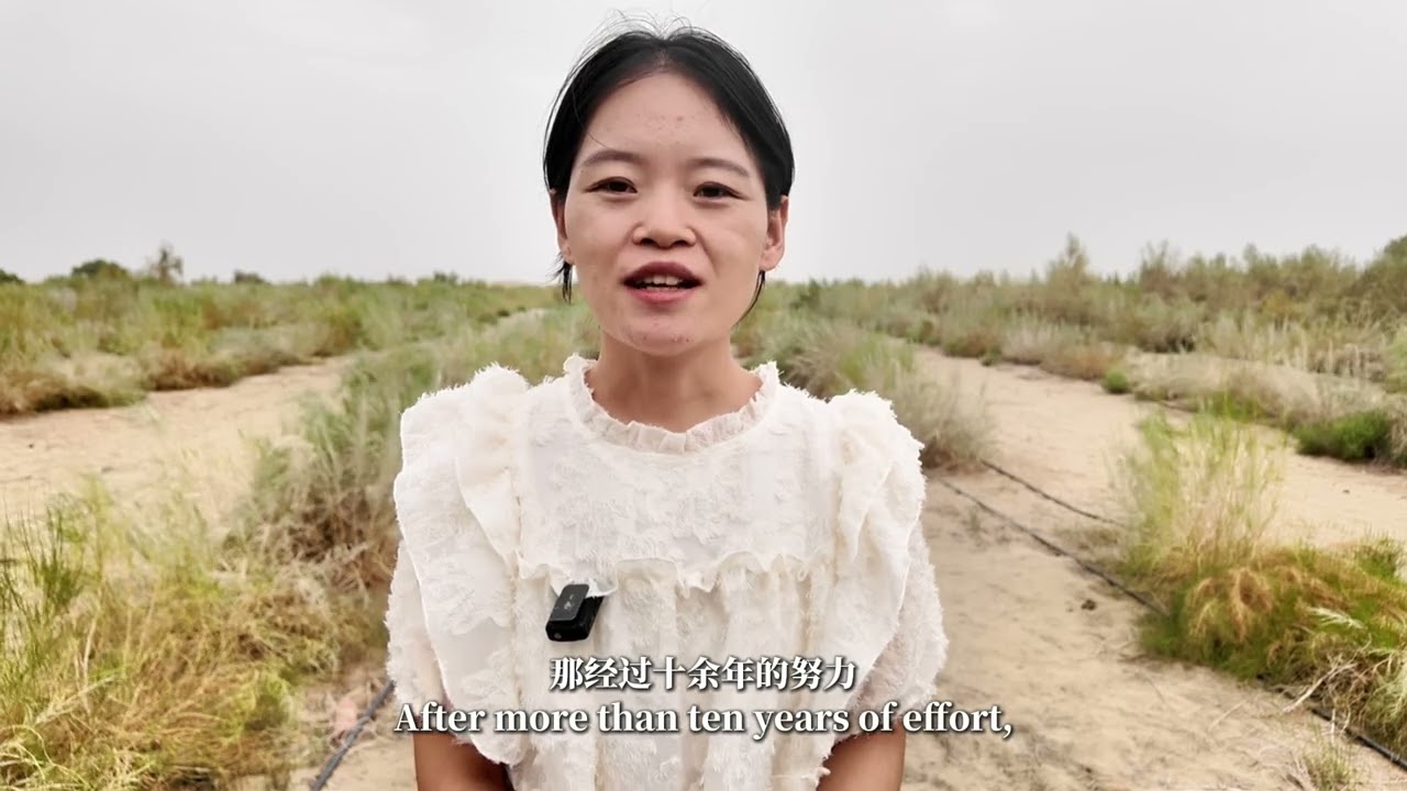 Huge ecological transformation of the Taklimakan Desert in Maigaiti, Xinjiang!