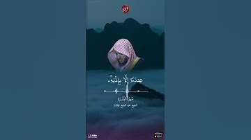 تلاوة للشيخ عبد البديع غيلان من سورة البقرة الآية 255 (آية الكرسي)
