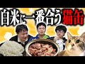 白米に一番合う猫缶を探してみた