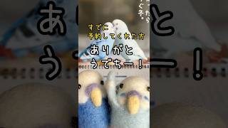 2026ポコそらカレンダー、Amazonと楽天でも販売開始しましたでち。