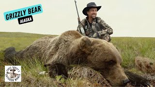 Massive Alaskan Grizzly Bear