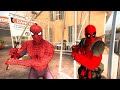 ÖRÜMCEK ADAM VE DEADPOOL ZOMBİK APARTMANINDA