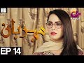 Meherbaan - EP 14 | Aplus | Affan Waheed, Nimrah khan, Asad Malik | C4D1