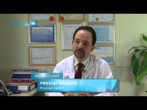 Prostat Nedir?