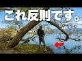 デカバスがこんな簡単に釣れて良いのか…?このルアーは嘘みたいに食ってきます。