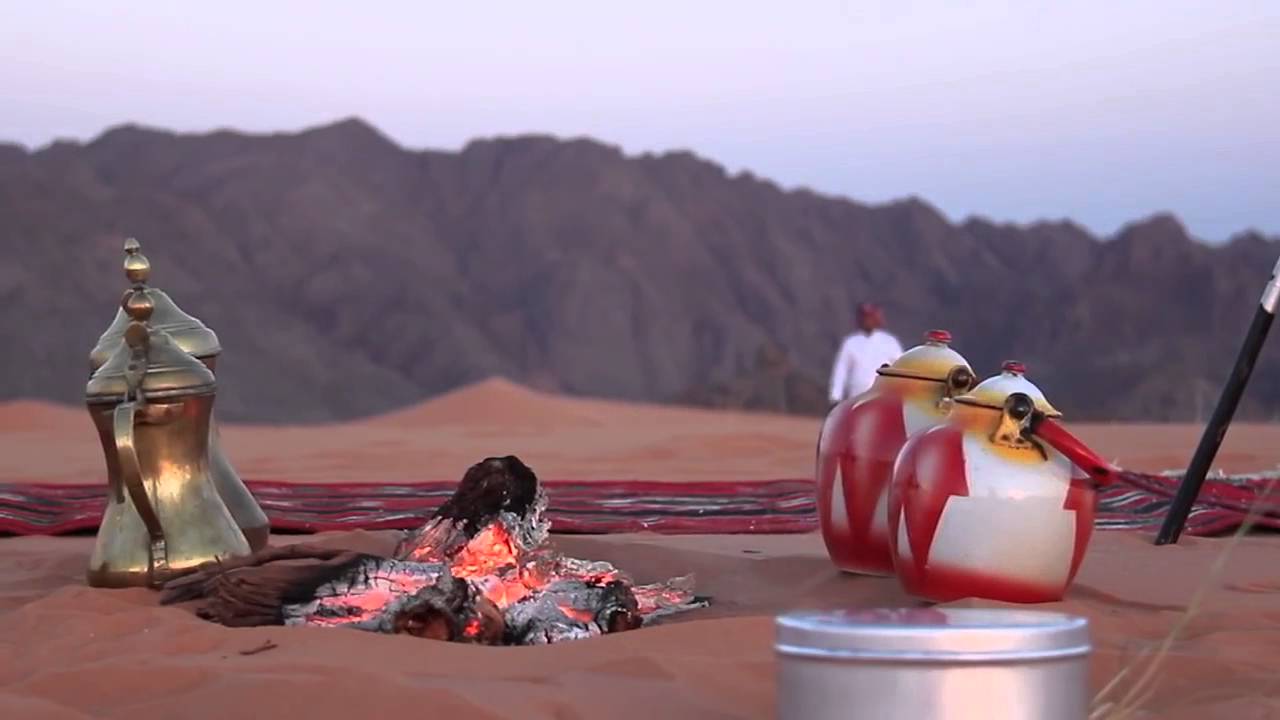 شيلة يا قاسي القلب - كلمات خشمان نهار الرشيدي - لحن واداء ناصر الشمري