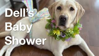 Baby Shower for Dell by Can Do Canines 513 views 1 year ago 1 minute, 23 seconds