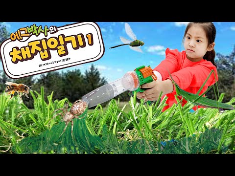 서은이의 채집일기 개미 소금쟁이 거미 벌 방아깨비 거미 매뚜기 잡아서 관찰 <strong>Insect</strong> Collection