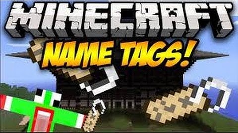 Name Tags Tutorial How to name Horses! minecraft 1.6.2! Easy!