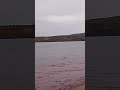 Осенняя рыбалка