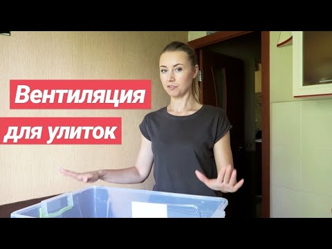 ВЕНТИЛЯЦИЯ ДЛЯ УЛИТОК