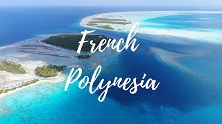 Diving French Polynesia 2018 4K