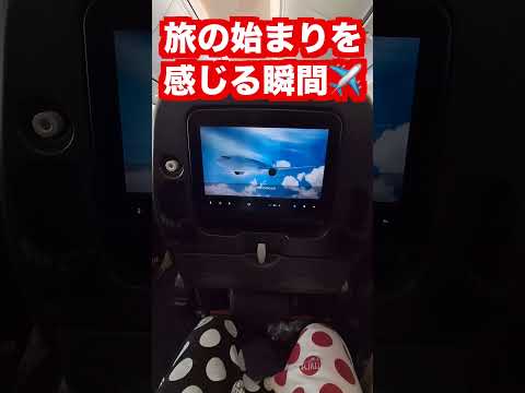 飛行機の国際線で海外旅行が始まる瞬間を感じる映像がコチラ【自分の情報】