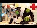ПРИКЛЮЧЕНИЕ МАЛЕНЬКОГО КОТЕНКА мультфильм про котят мультик для детей и малышей на #ММ