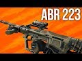 Black Ops 4 In Depth: ABR 223 (& Blackout ABR)