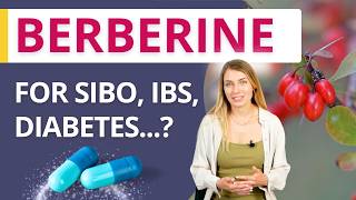 Berberine Gut Health Diabetes Miracle? Benefits, Risks, And Tips Try For Sibo, Ibs, Diarrhea