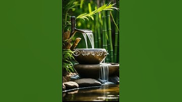 (اولا يذكر الانسان) تلاوة نادرة بصوت ابوا صهيب