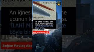 Bir Arının İğnesi... İlahi Mühendislik Karşında Secde Etmemek Ne Mümkün Resimi