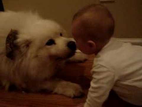 Baby Lucy laughing with dog - the original!