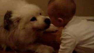 Baby Lucy laughing with dog - the original!