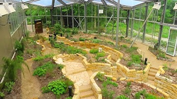 Vernieuwde Klimatenkas Hortus Botanicus Amsterdam weer open, voor publiek