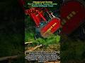 Ultimate Land Clearing | See the SEPPI M. Tracked Forestry Mulcher Obliterate Trees!
