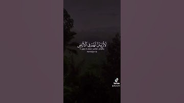 القارئ عمير شميم - سورة الحجر