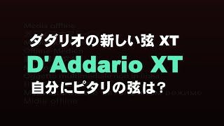 ダダリオの新しい弦　D'Addario XT  自分に合う弦を探そう！