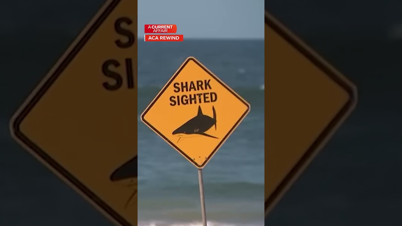 Shark Country: Dark side of Australia’s beach obsession | A Current Affair
