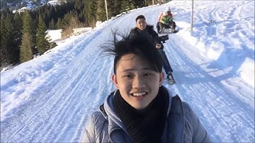 Switzerland sledging