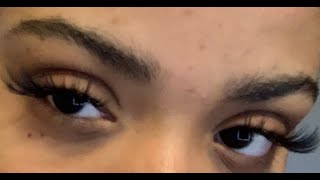 $10 DIY LASH EXTENSIONS | FAUX MINK LASHES | BOUGIE ON A BUDGET