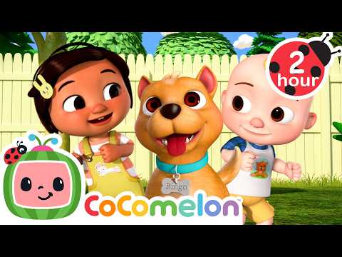 JJ’s Puppy Playdate with Bingo | CoComelon | Sing Along | Learn about Animals