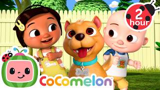 JJ’s Puppy Playdate with Bingo | CoComelon | Sing Along | Learn about Animals