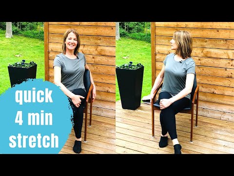 Office Stretch Break | 4 Min Follow Along with a Chiropractor!