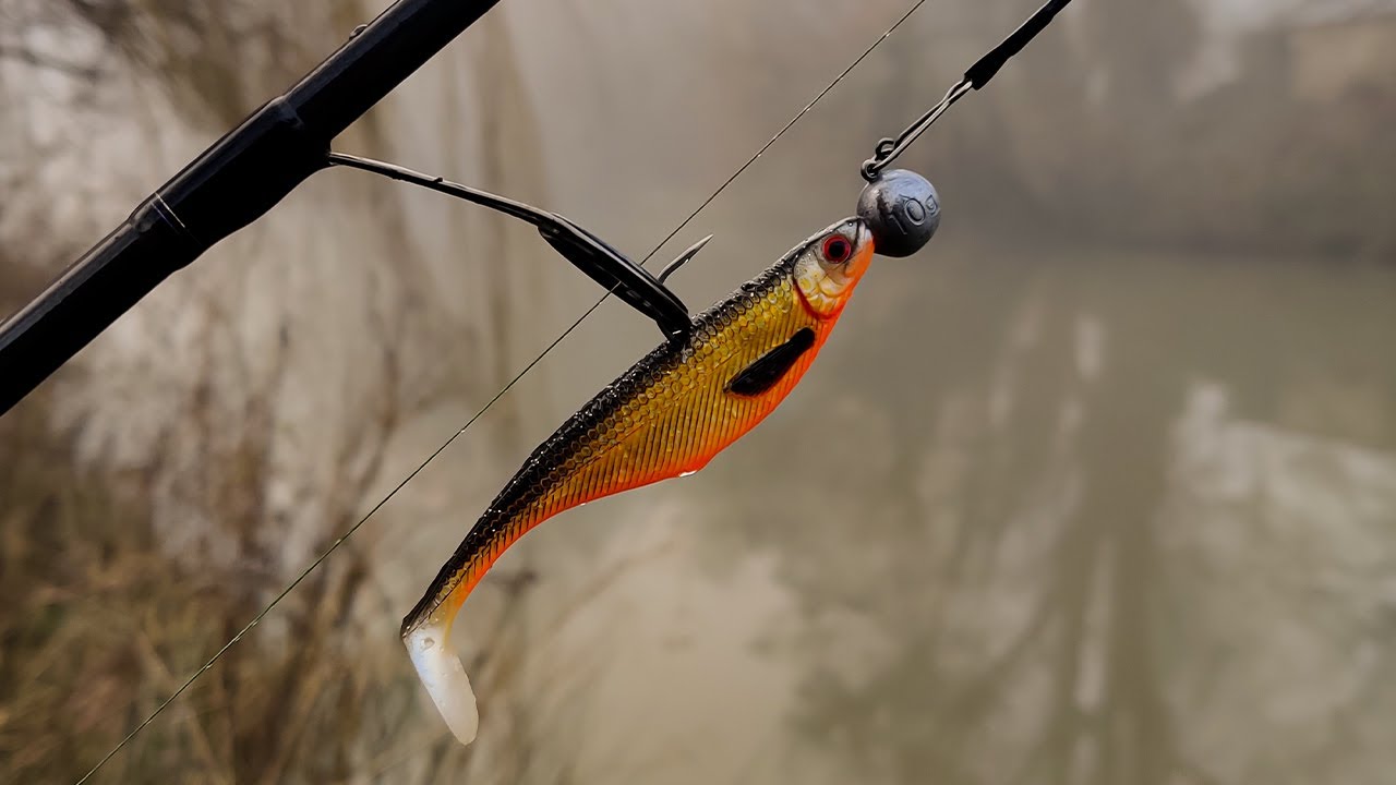 WINTER Jig Fishing - Westin Shadteez