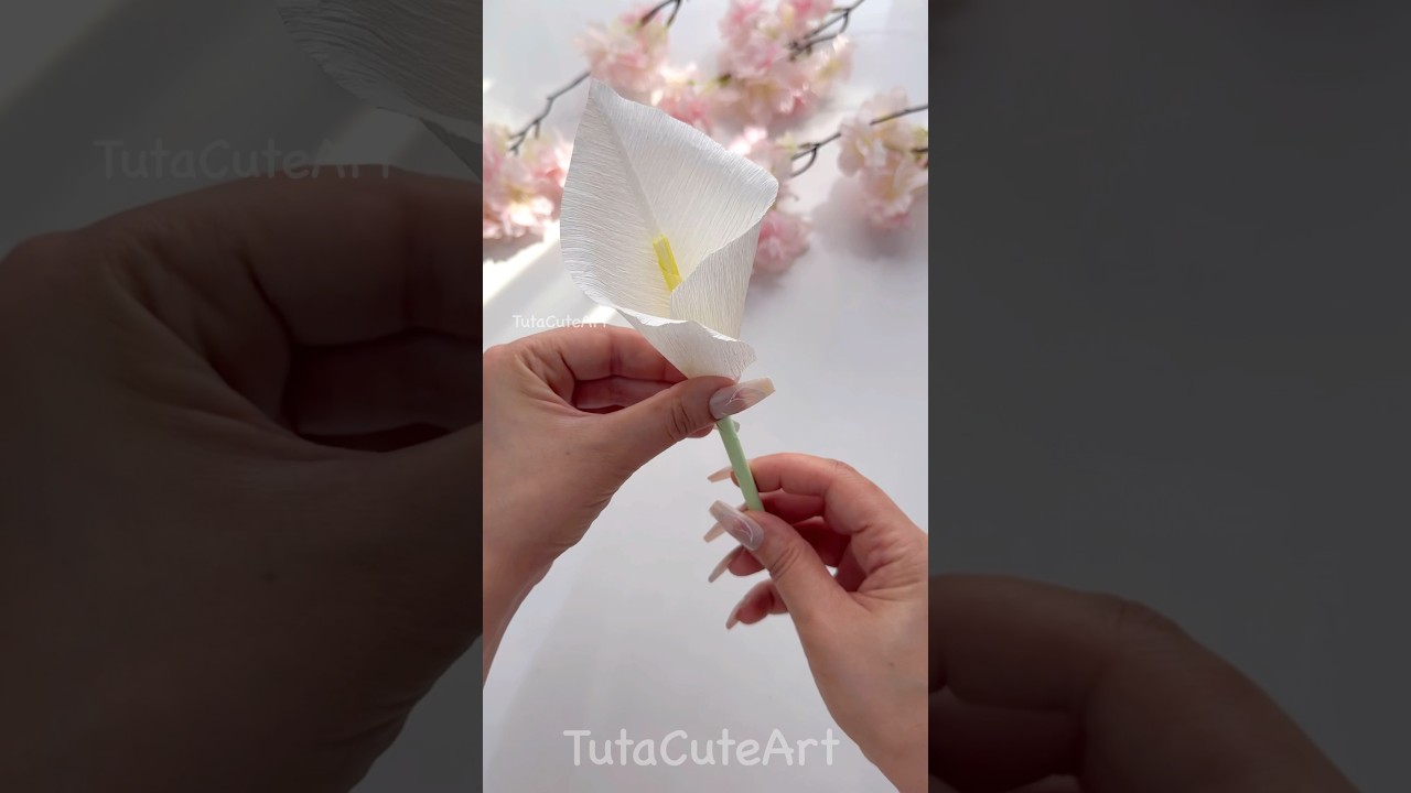 DIY Calla Lily Flower ✨