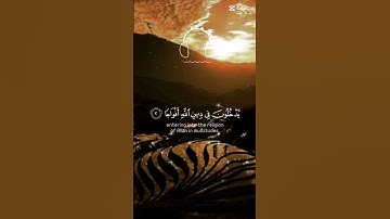 #سورة النصر