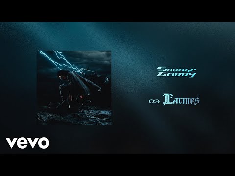 Savage Toddy - Larmes (Audio)