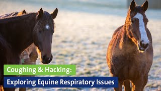 Webinar: Coughing & Hacking: Exploring Equine Respiratory Issues