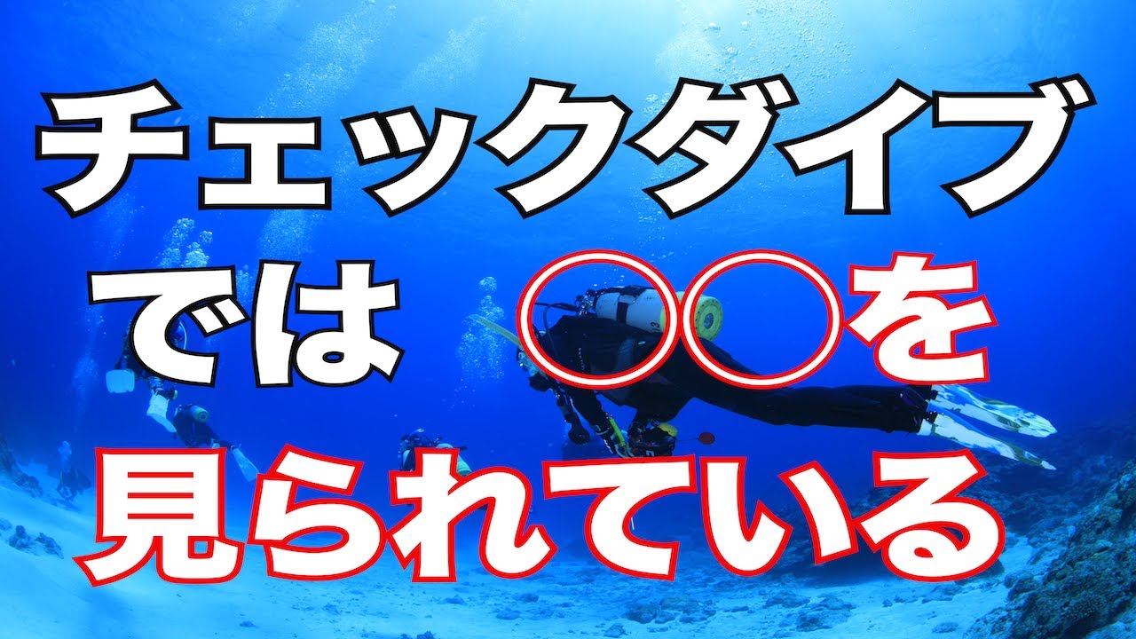 【チェックダイブで見られていること】熱烈先生のダイビング講座　第166講