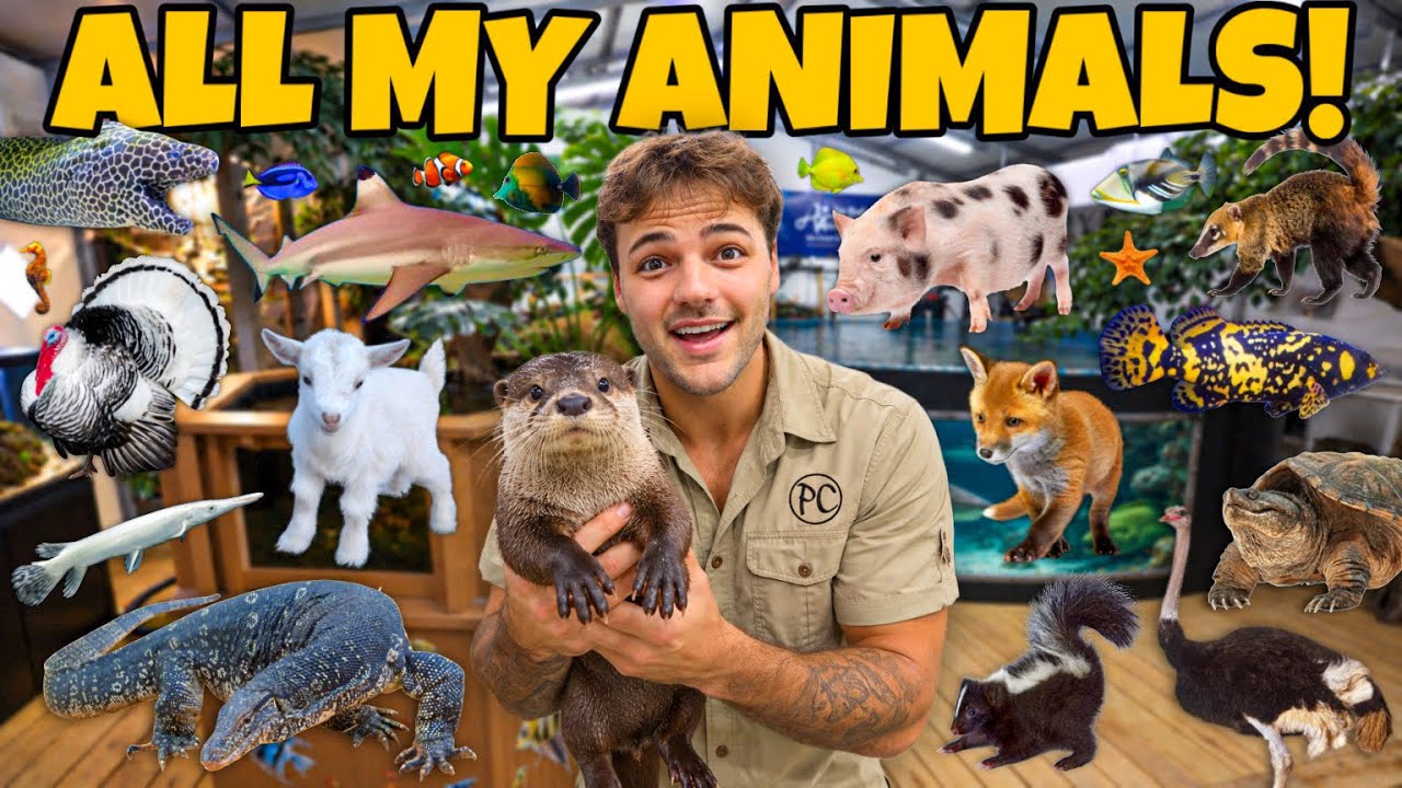 All of My ANIMALS on the FARM in ONE Video!!
