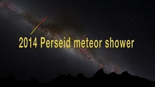 The 2014 Perseid meteor shower