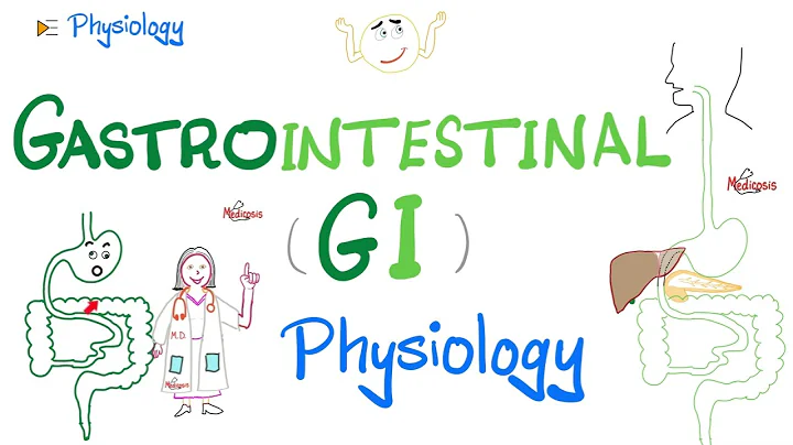 Gastrointestinal (GI) Physiology - The Basics (Introduction) - Physiology Series