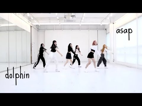 Asap dance practice but its music is Dolphin 💗
