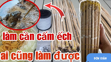 Hướng Dẫn Cách Làm Cần Câu Cấm Ếch Đơn Dễ Làm | Instructions on How to Ban Frogs