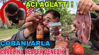 ÇOBAN ARKADAŞLARLA DÜNYANIN EN ACI BİBERİNİ DENEDİK~PİŞMANIM !!ET BUDUR~YANIMIZA YILAN GETİRMİŞ