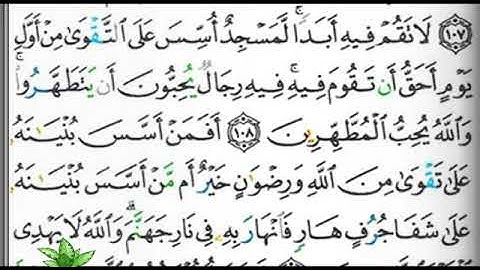 مصحف التجويد صفحة 204 إبراهيم الأخضر 🌲🕋