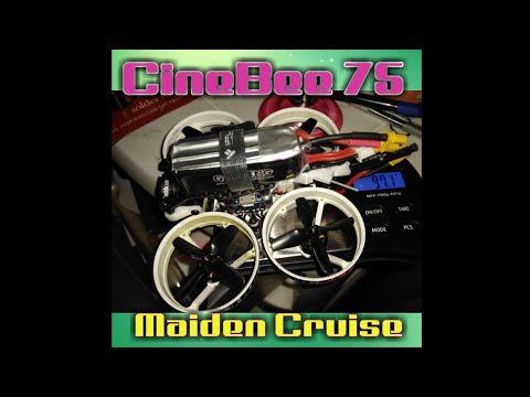 cinebee 75 hd 2s-3s whoop Cinebee75 : 3s and 2s Maiden Cruise
