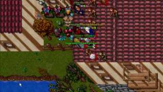 tibia rl zanera resien conosidos