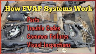 Understanding Evap Systems and Troublecodes P0455 P0442 P0449 P0448 P0441.